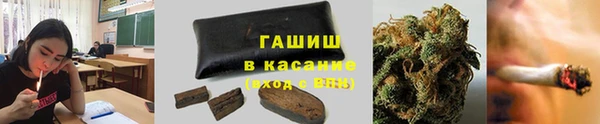 стаф Аркадак