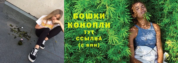 стаф Аркадак
