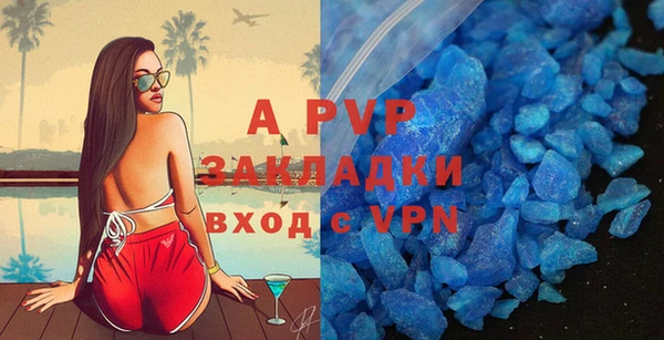 стаф Аркадак