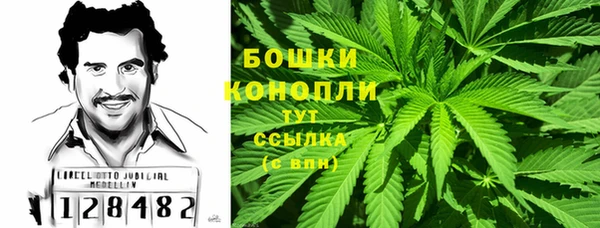 стаф Аркадак