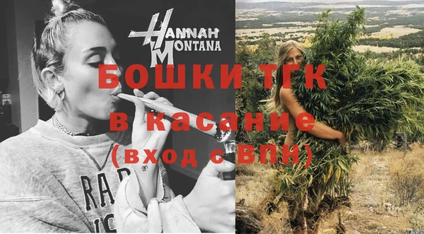 стаф Аркадак