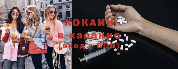 сатива Арсеньев