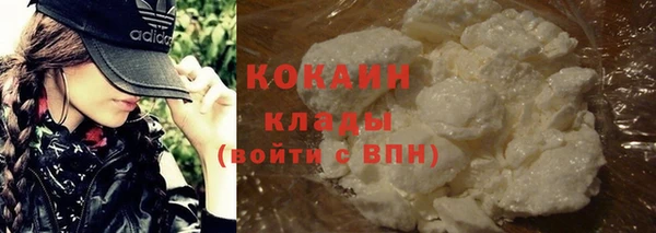 сатива Арсеньев