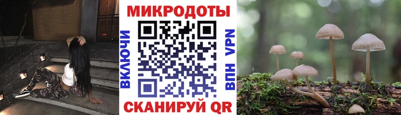 shop телеграм как найти Новый Оскол Псилоцибиновые грибы ЛСД